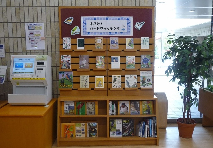 中央展示の写真