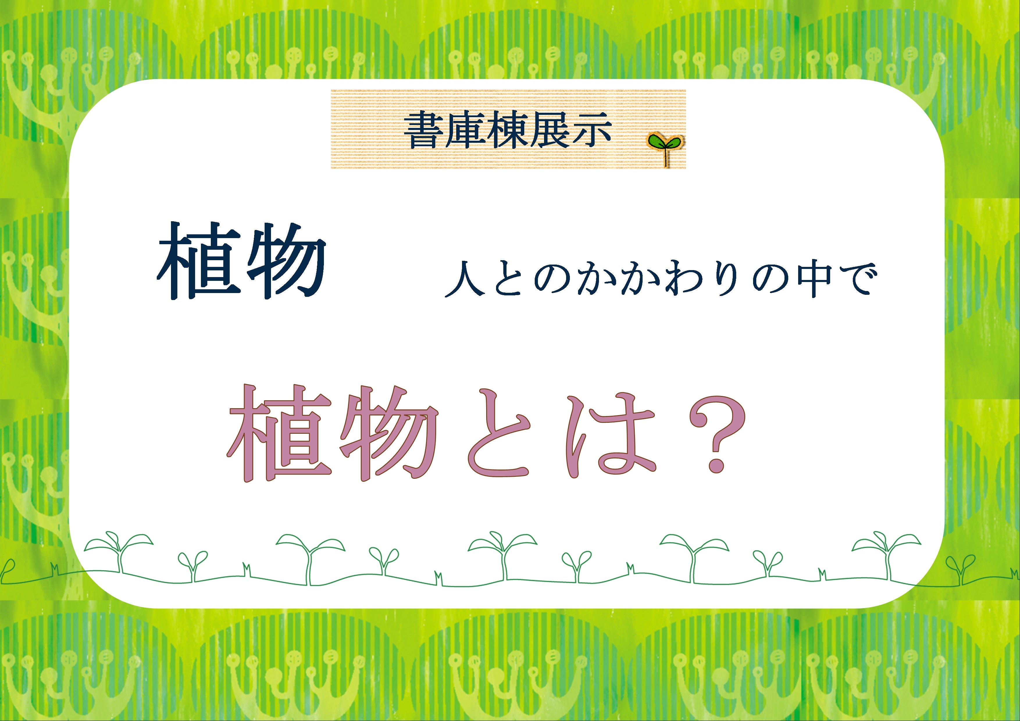 令和４年度書庫棟展示：植物